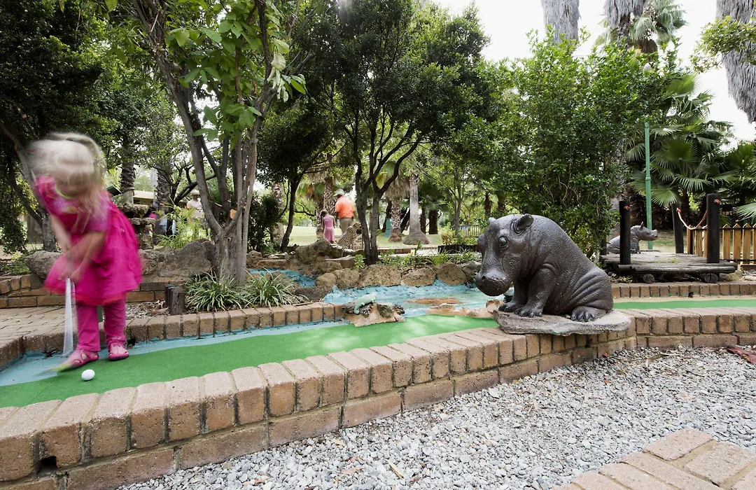 The Cascades Hotel At Sun City Resort-1